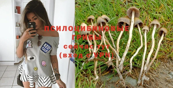гашик Балабаново