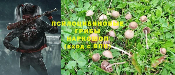 СК Саяногорск