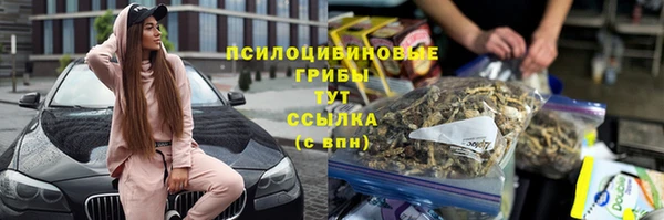 гашик Балабаново