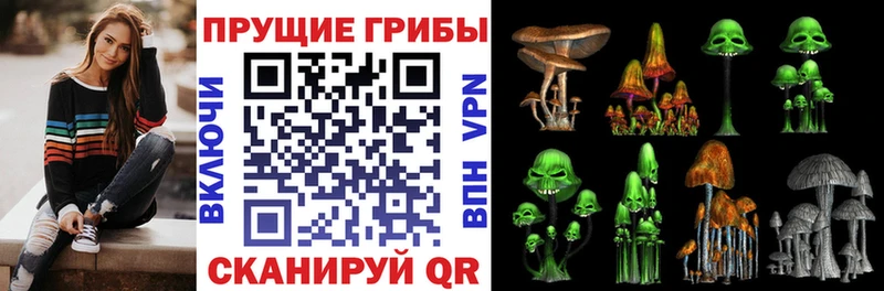 Псилоцибиновые грибы Magic Shrooms  купить  сайты  Новосиль 